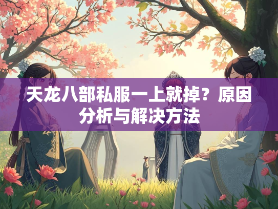 天龙八部私服一上就掉？原因分析与解决方法  第3张