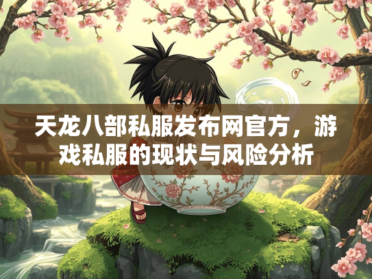 天龙八部私服发布网官方，游戏私服的现状与风险分析  第2张