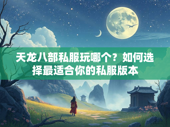 天龙八部私服玩哪个？如何选择最适合你的私服版本