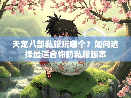 天龙八部私服玩哪个？如何选择最适合你的私服版本