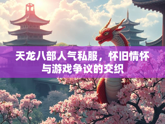 天龙八部人气私服，怀旧情怀与游戏争议的交织  第2张