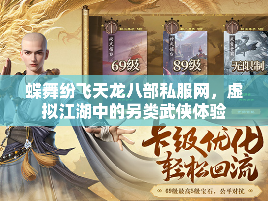 蝶舞纷飞天龙八部私服网，虚拟江湖中的另类武侠体验