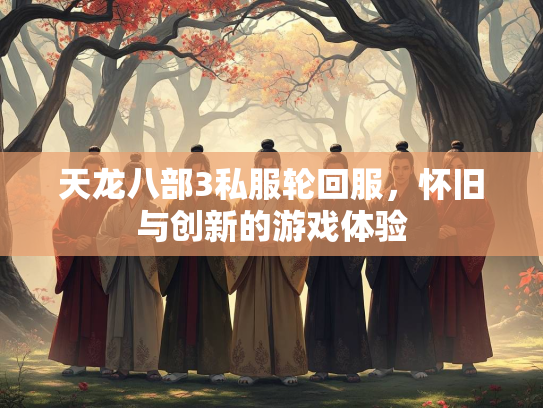 天龙八部3私服轮回服，怀旧与创新的游戏体验  第2张