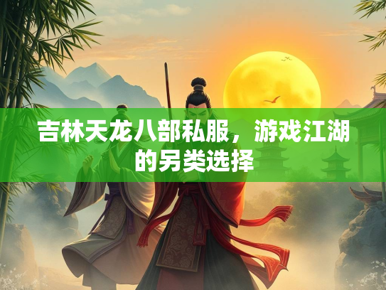 吉林天龙八部私服，游戏江湖的另类选择