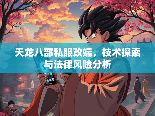 天龙八部私服改端，技术探索与法律风险分析