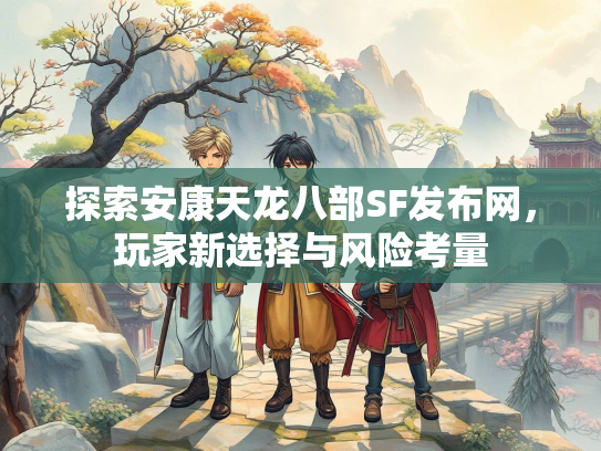 探索安康天龙八部SF发布网，玩家新选择与风险考量  第3张