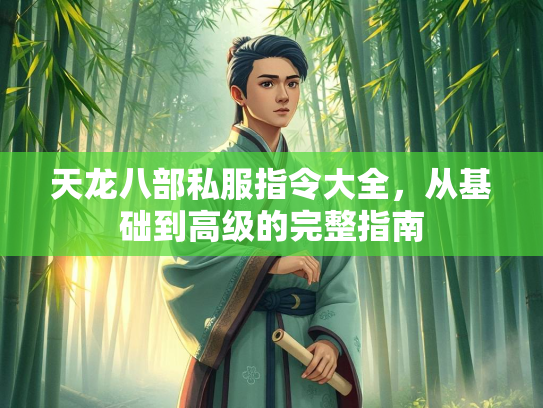 天龙八部私服指令大全，从基础到高级的完整指南  第1张