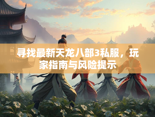 寻找最新天龙八部3私服，玩家指南与风险提示