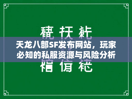 天龙八部SF发布网站，玩家必知的私服资源与风险分析