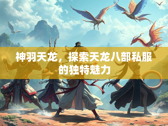 神羽天龙，探索天龙八部私服的独特魅力  第2张