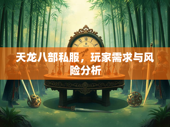 天龙八部私服，玩家需求与风险分析