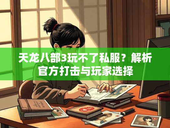 天龙八部3玩不了私服？解析官方打击与玩家选择  第2张