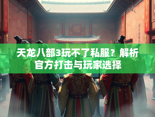 天龙八部3玩不了私服？解析官方打击与玩家选择  第3张
