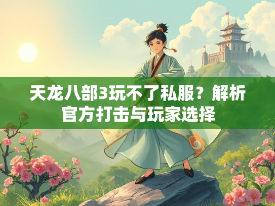 天龙八部3玩不了私服？解析官方打击与玩家选择