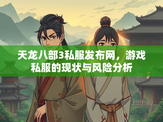 天龙八部3私服发布网，游戏私服的现状与风险分析  第2张