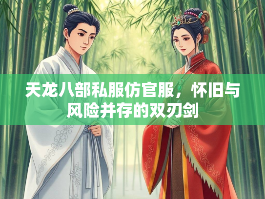 天龙八部私服仿官服，怀旧与风险并存的双刃剑  第2张