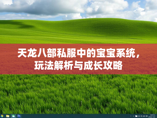 天龙八部私服中的宝宝系统，玩法解析与成长攻略