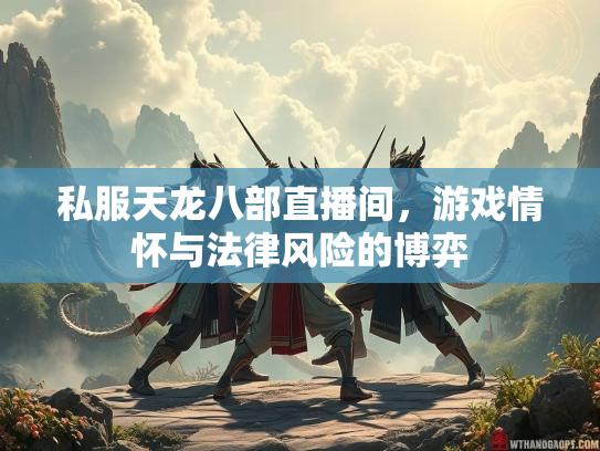私服天龙八部直播间，游戏情怀与法律风险的博弈  第3张