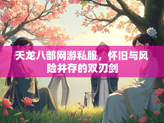 天龙八部网游私服，怀旧与风险并存的双刃剑  第2张