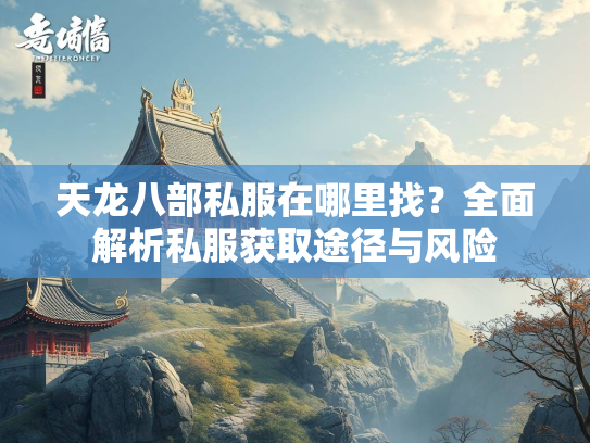 天龙八部私服在哪里找？全面解析私服获取途径与风险