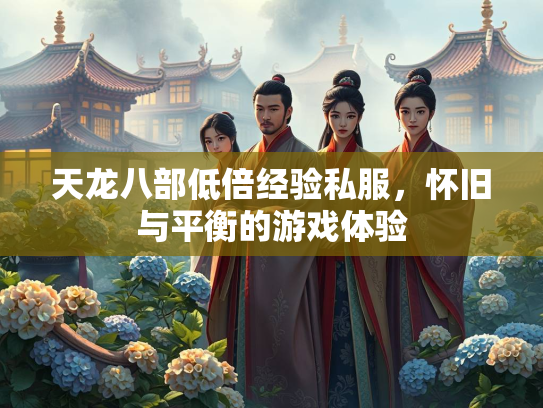 天龙八部低倍经验私服，怀旧与平衡的游戏体验