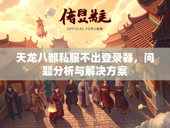 天龙八部私服不出登录器，问题分析与解决方案  第2张