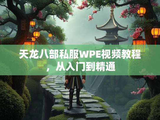 天龙八部私服WPE视频教程，从入门到精通  第2张