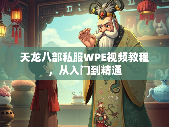 天龙八部私服WPE视频教程，从入门到精通