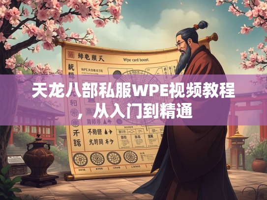 天龙八部私服WPE视频教程，从入门到精通  第1张