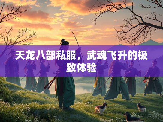 天龙八部私服，武魂飞升的极致体验