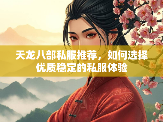 天龙八部私服推荐，如何选择优质稳定的私服体验