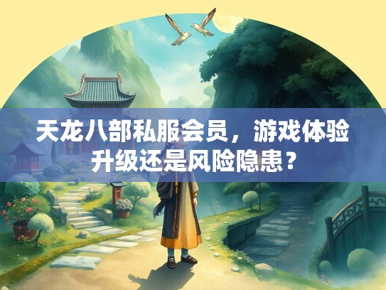天龙八部私服会员，游戏体验升级还是风险隐患？