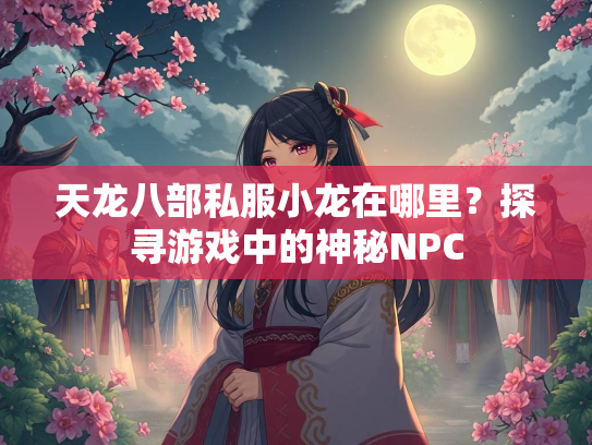 天龙八部私服小龙在哪里？探寻游戏中的神秘NPC