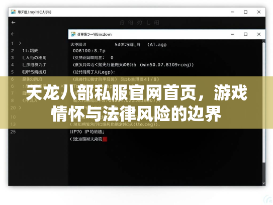 天龙八部私服官网首页，游戏情怀与法律风险的边界