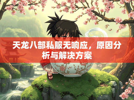 天龙八部私服无响应，原因分析与解决方案