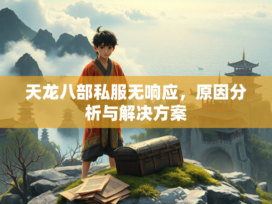 天龙八部私服无响应，原因分析与解决方案