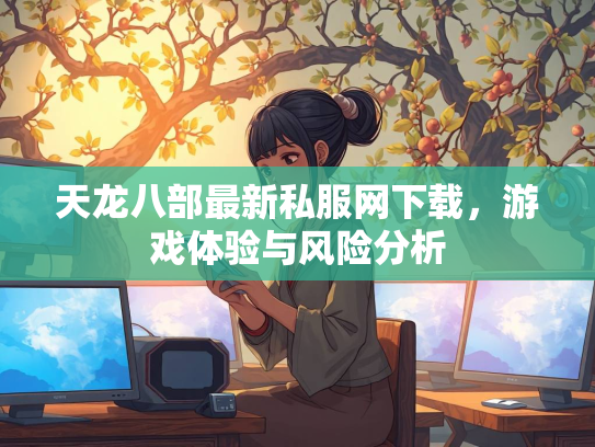 天龙八部最新私服网下载，游戏体验与风险分析  第2张