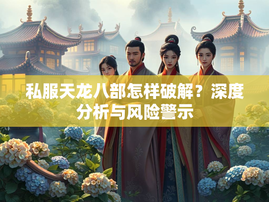 私服天龙八部怎样破解？深度分析与风险警示