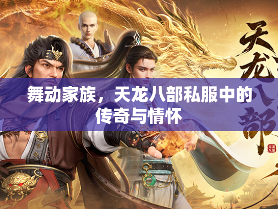 舞动家族，天龙八部私服中的传奇与情怀  第2张