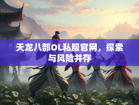 天龙八部OL私服官网，探索与风险并存