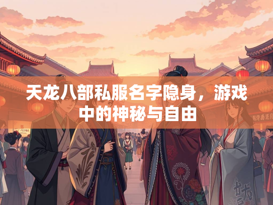 天龙八部私服名字隐身，游戏中的神秘与自由  第2张