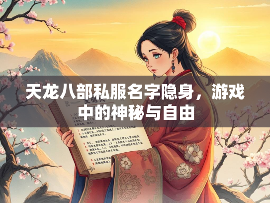 天龙八部私服名字隐身，游戏中的神秘与自由  第3张