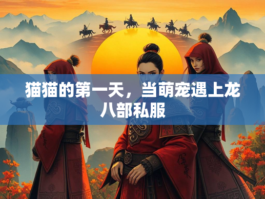 猫猫的第一天，当萌宠遇上龙八部私服  第3张
