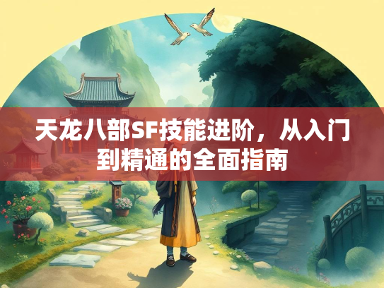 天龙八部SF技能进阶，从入门到精通的全面指南  第2张