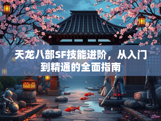 天龙八部SF技能进阶，从入门到精通的全面指南  第1张