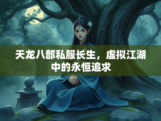 天龙八部私服长生，虚拟江湖中的永恒追求  第2张