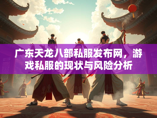 广东天龙八部私服发布网，游戏私服的现状与风险分析  第2张
