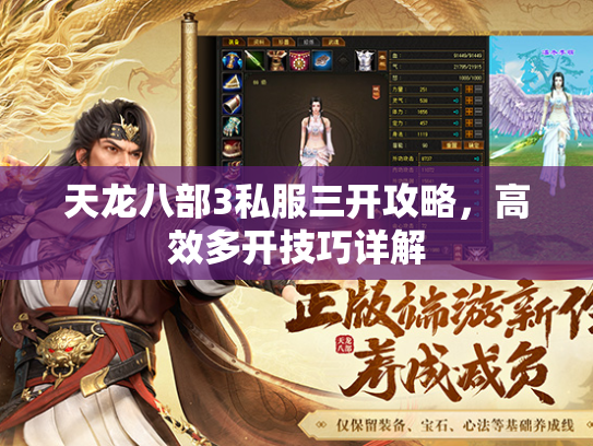 天龙八部3私服三开攻略，高效多开技巧详解