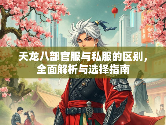天龙八部官服与私服的区别，全面解析与选择指南