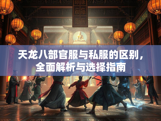 天龙八部官服与私服的区别，全面解析与选择指南
